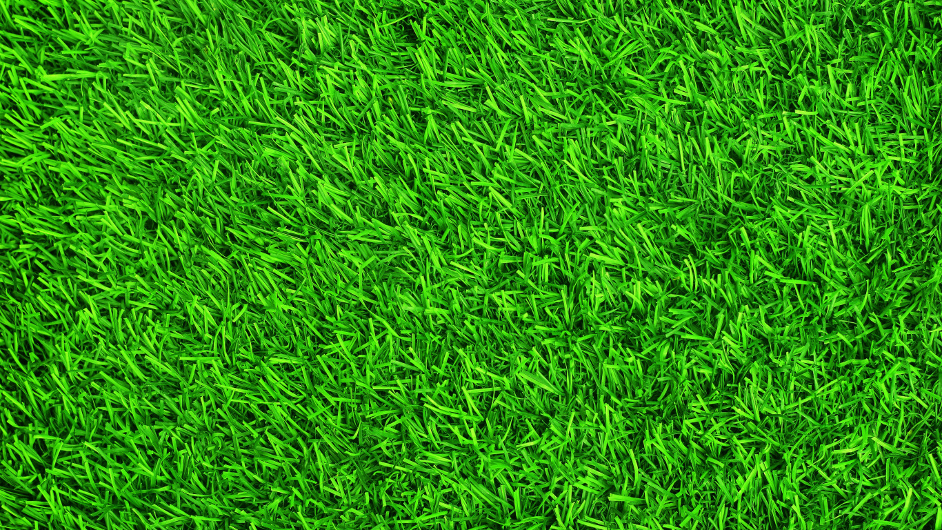 Green Summer Grass