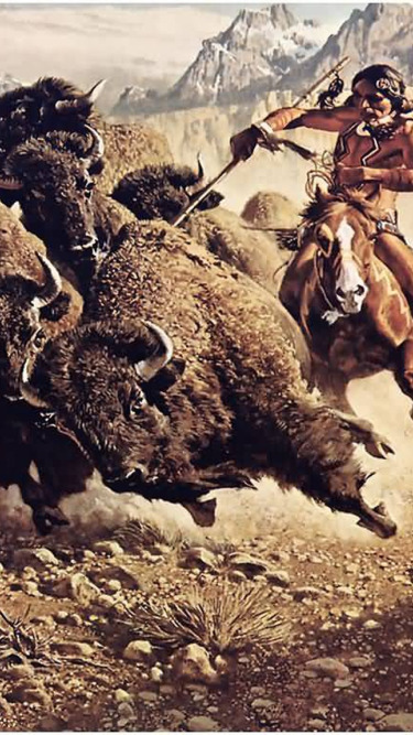 Buffalo Hunting Native American Indians Indians