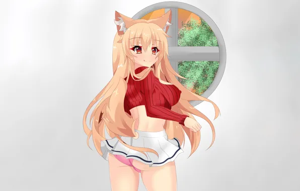 Скачать обои lingerie panties panty window nekomimi cat girl