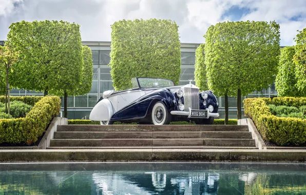 Обои Rolls Royce Silver роллс ройс 1952 Dawn Drophead на телефон и