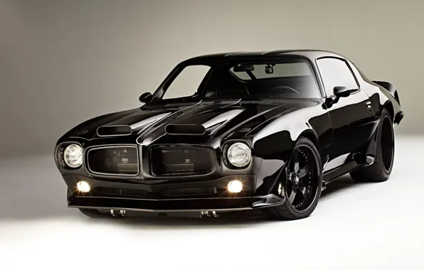 Black Pontiac Firebird Muscle Car Trans Am