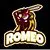 Пользователь romeo-srujan