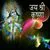 Пользователь devang-desai