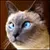Пользователь frida_82