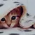 Пользователь linka_a