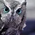 Пользователь wise_owl