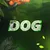 Пользователь dog-113