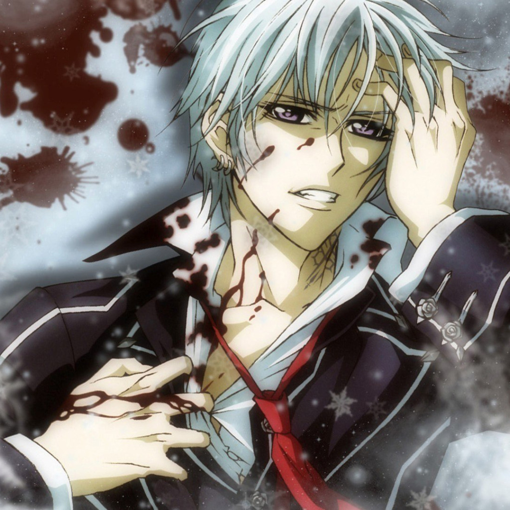 Скачать обои кровь, Аниме, Vampire Knight, снег., Рыцарь вампир, Kiryu  zero, раздел сэйнэн в разрешении 1024x1024