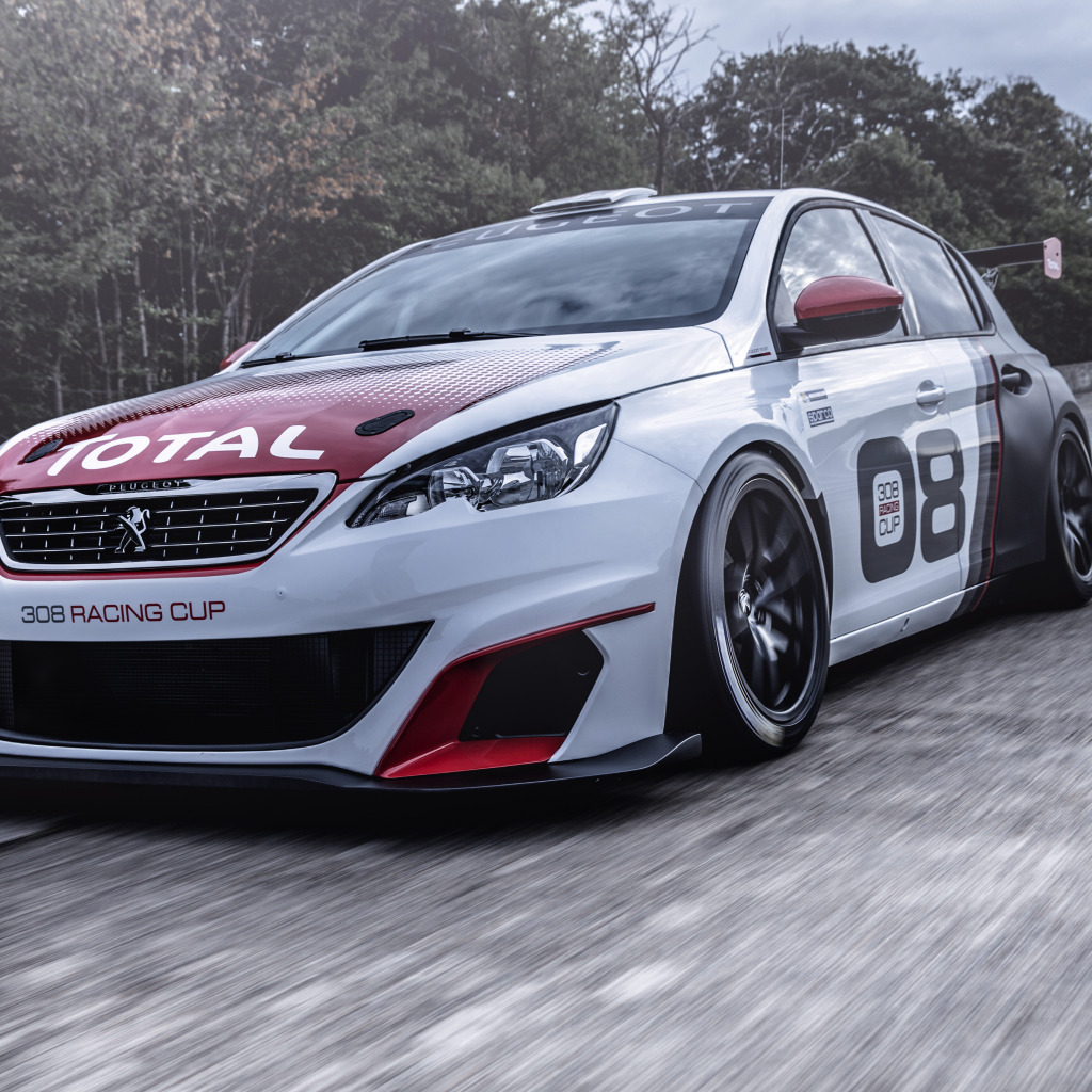 Peugeot 308 Sport Rally