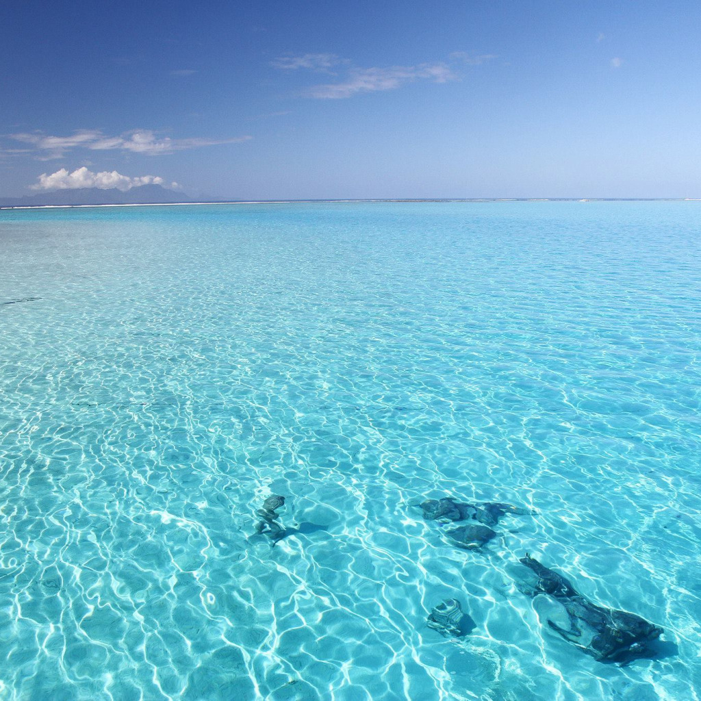 Сон прозрачная вода в море