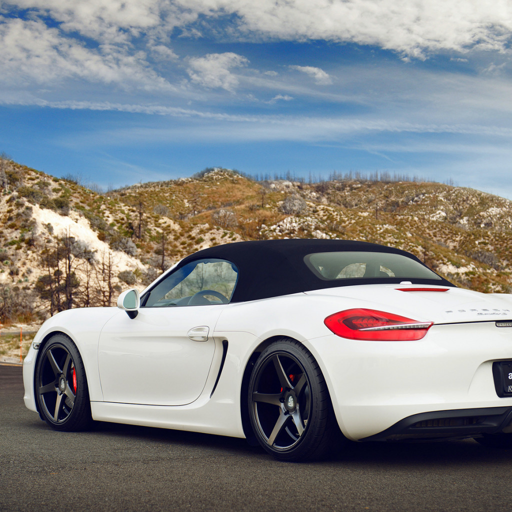 Boxster 981