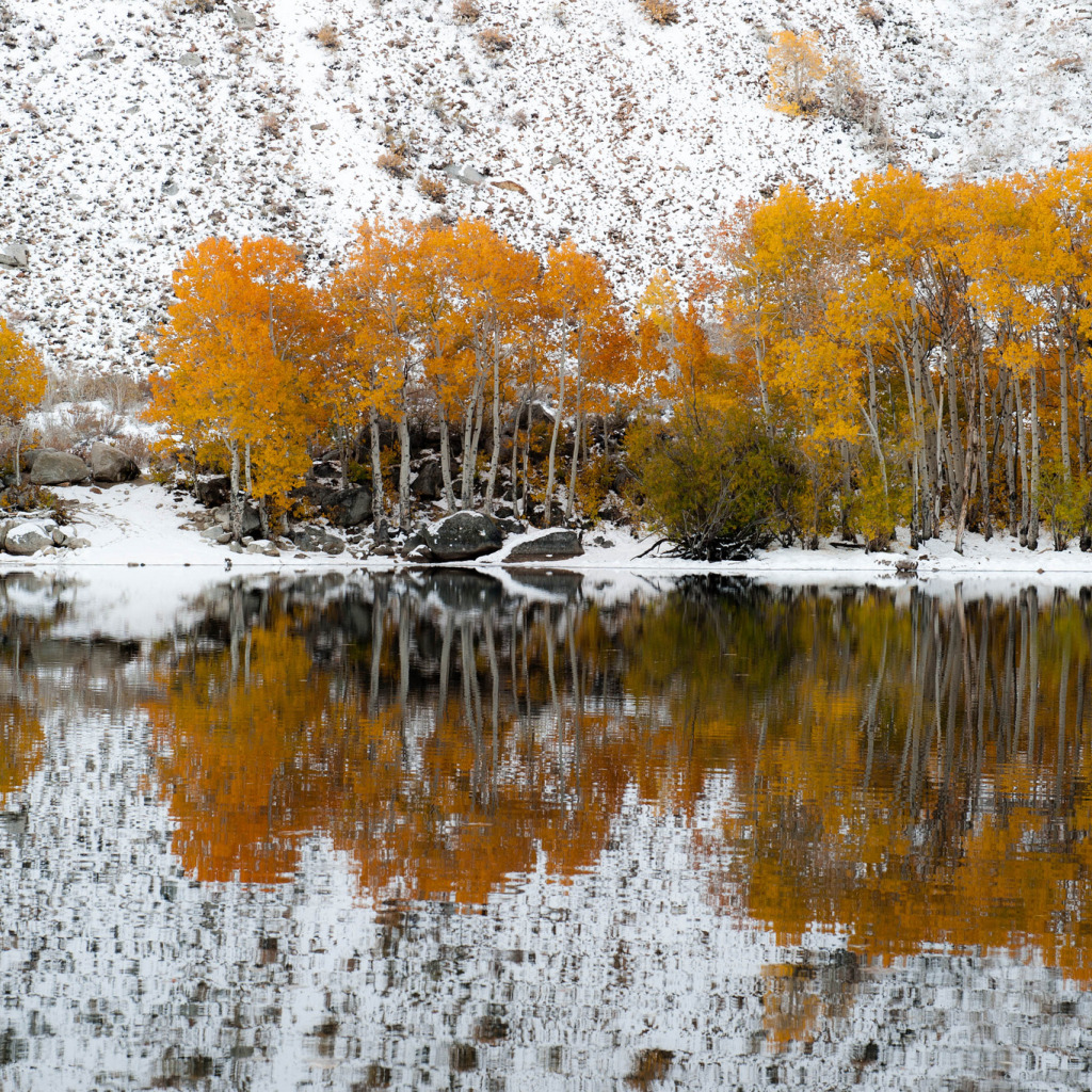 Осень снег. Снег осенью. Первый снег. Красота поздней осени.