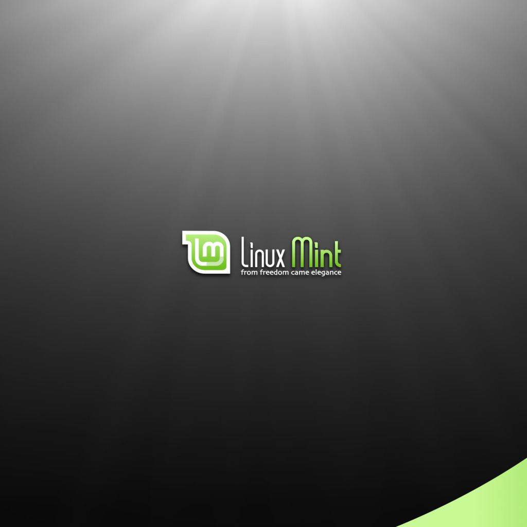 Rust linux mint фото 112