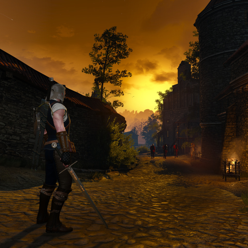 The witcher 3 witcher gear levels фото 58