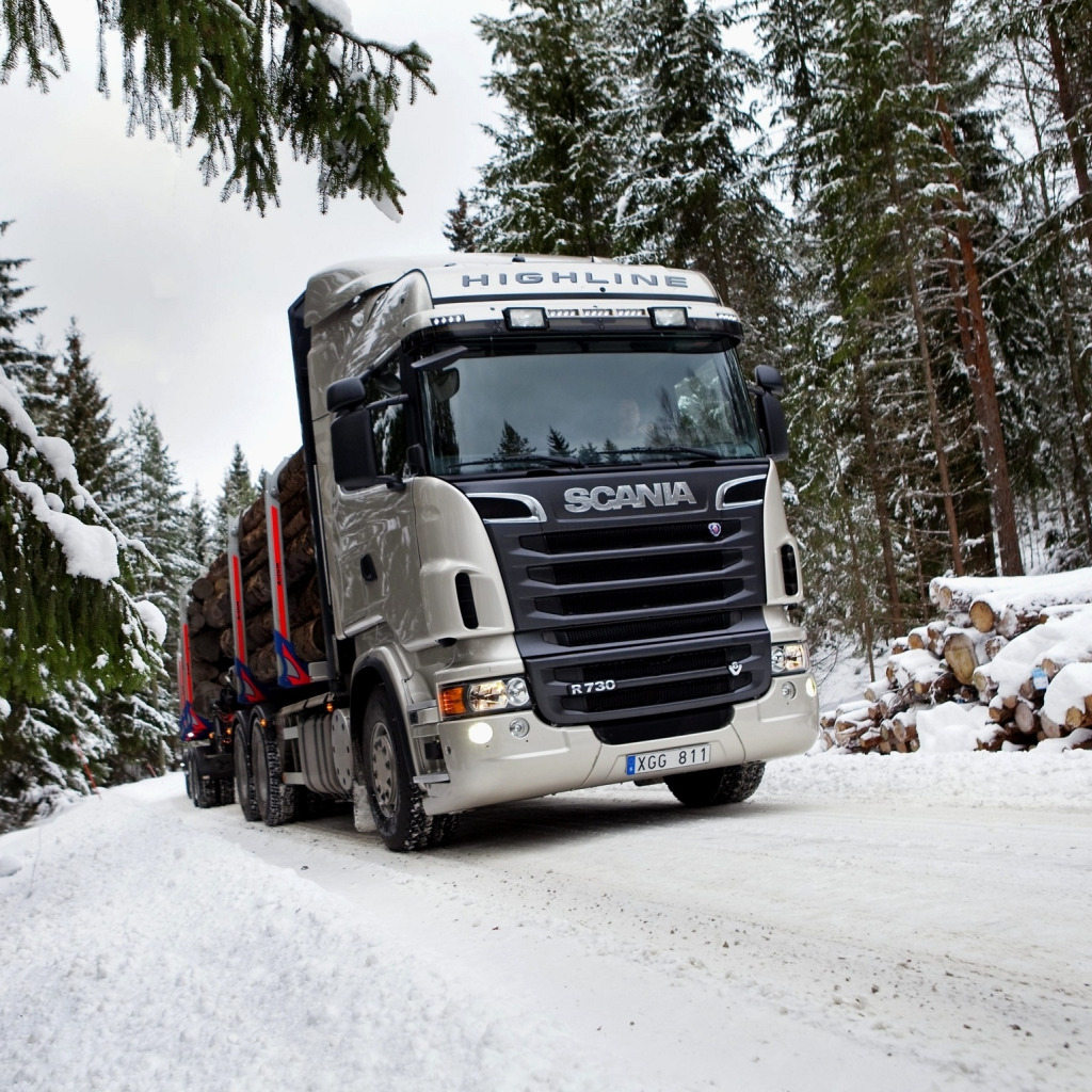 Скачать обои Снег, Лес, Грузовик, Scania, Лесовоз, R730, раздел машины в  разрешении 1024x1024