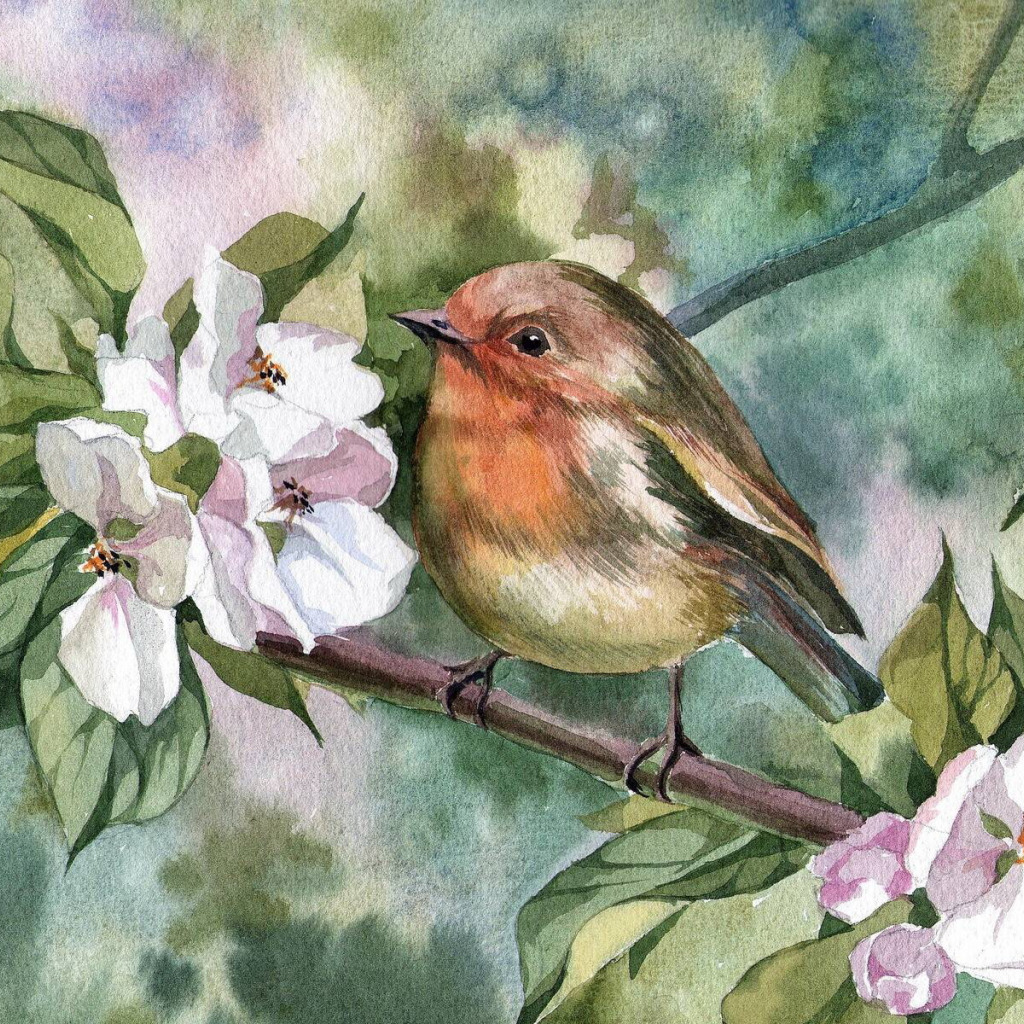 Весенние птицы рисунок. Птицы на Яблоневой ветке. Птицы на цветущей ветке живопись. Птица на цветущей яблоне.