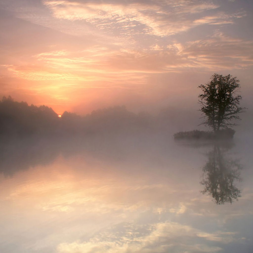 Таково умиротворенное состояние природы. Густой туман на озере. Эстетика спокойствия и глубины. Сеть для тумана. Туман философские картинки.