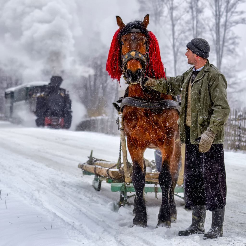 Лошадка прилипла однажды в студеную. Мужчина на лошади зима. Зима парень конь. Фото с лошадью зимой. Мужик на лошади зимой.