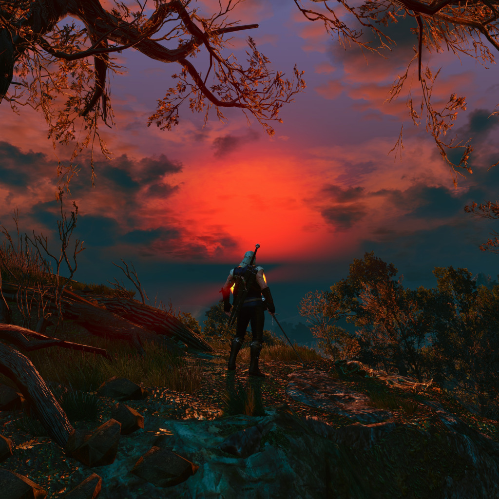 Forest swords. The Witcher 3 Wild Hunt. Ведьмак обои. Witcher Trilogy.