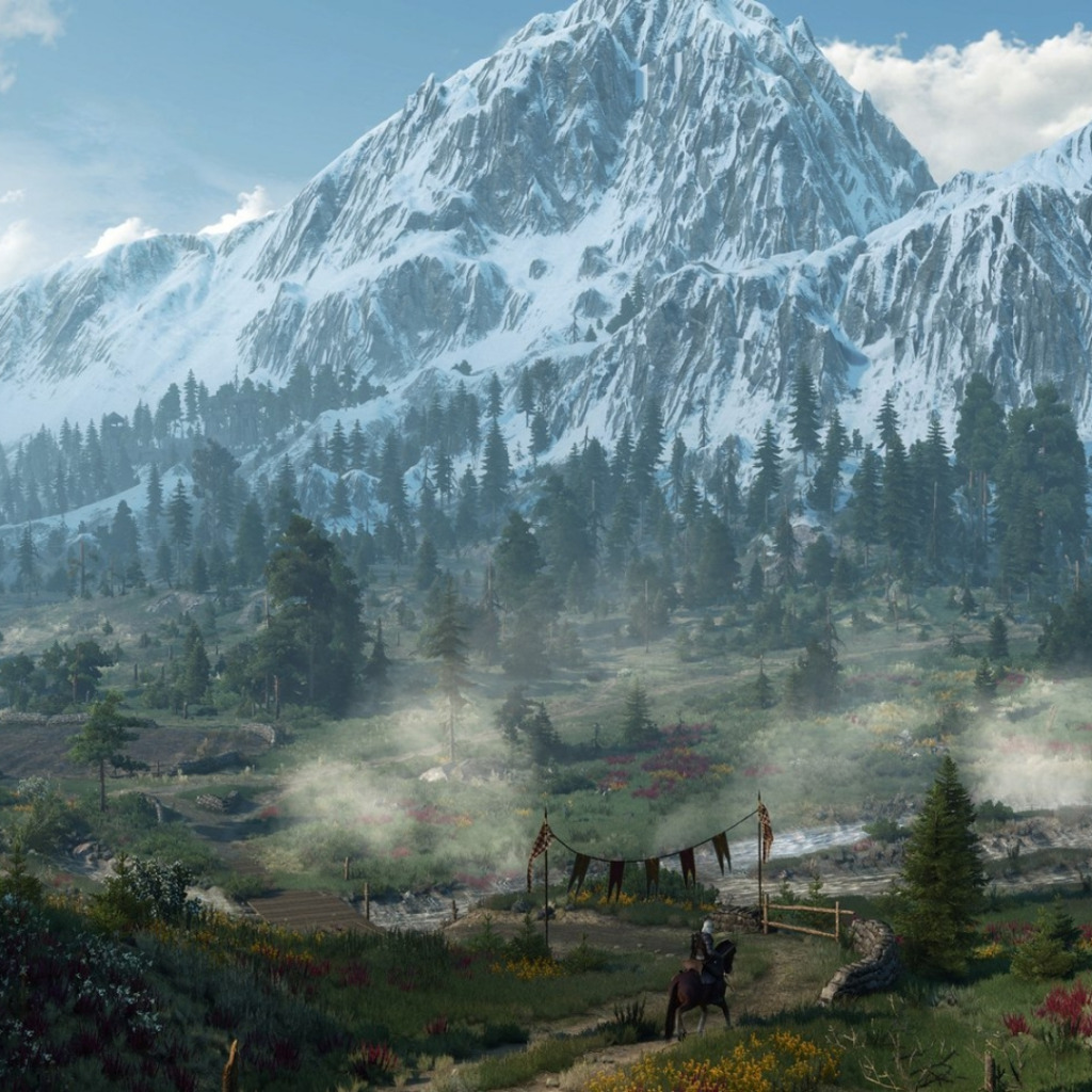 The witcher 3 ард скеллиге фото 39