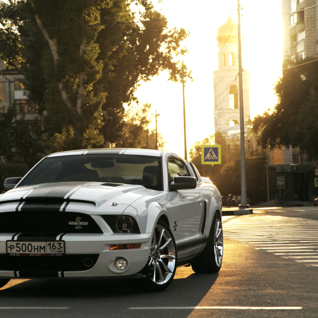 Мустанг самара. Скайлайн американский Мустанг. Мустанг пальмы. Ford Mustang Knight Rider. Форд Мустанг фото на улице летом-.