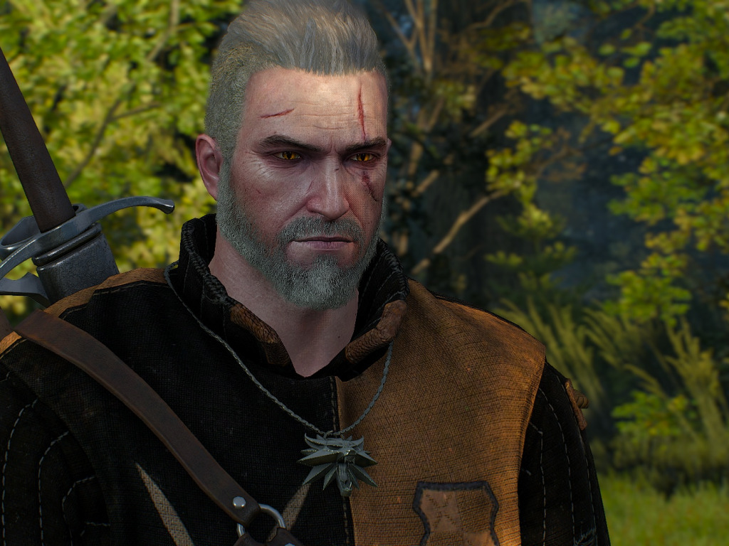 Скачать обои Природа, Ведьмак, Геральт из Ривии, Ведьмак 3, The Witcher ...