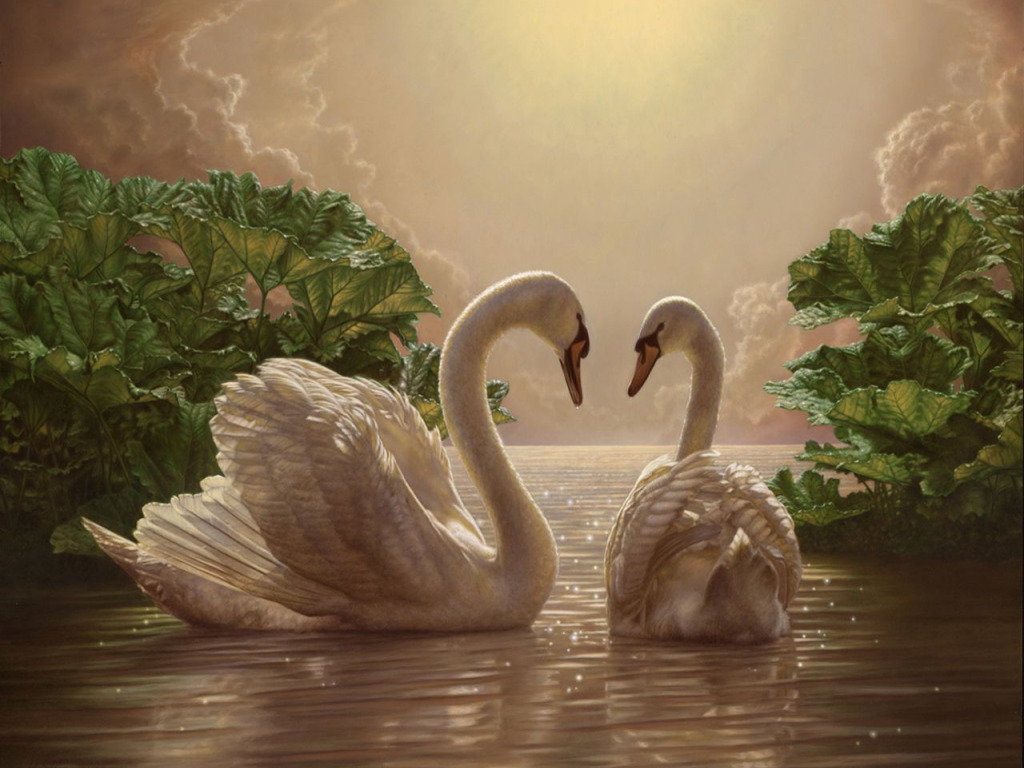 Картины верность. Мозаика алмазная лебеди 40х50. Лебеди живопись. Картина "лебеди". Лебеди на озере.