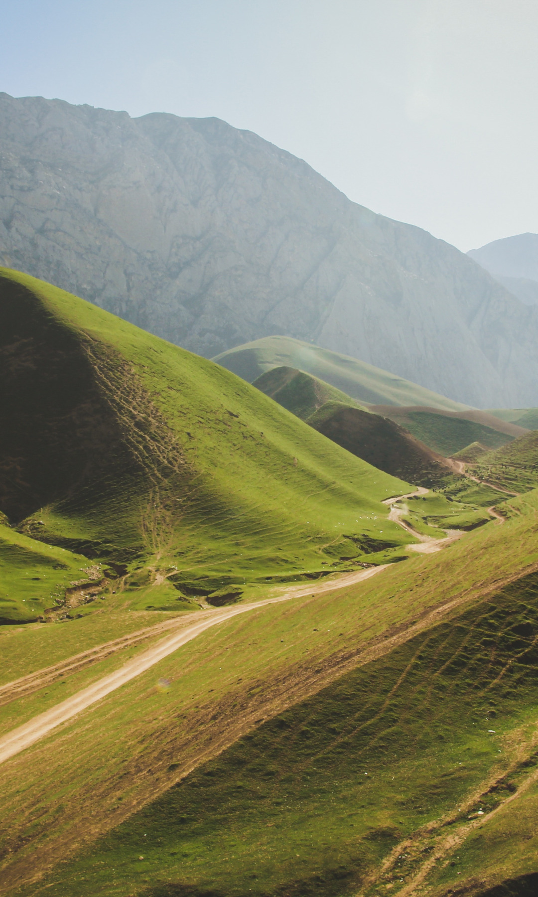 grass, landscape, nature, path