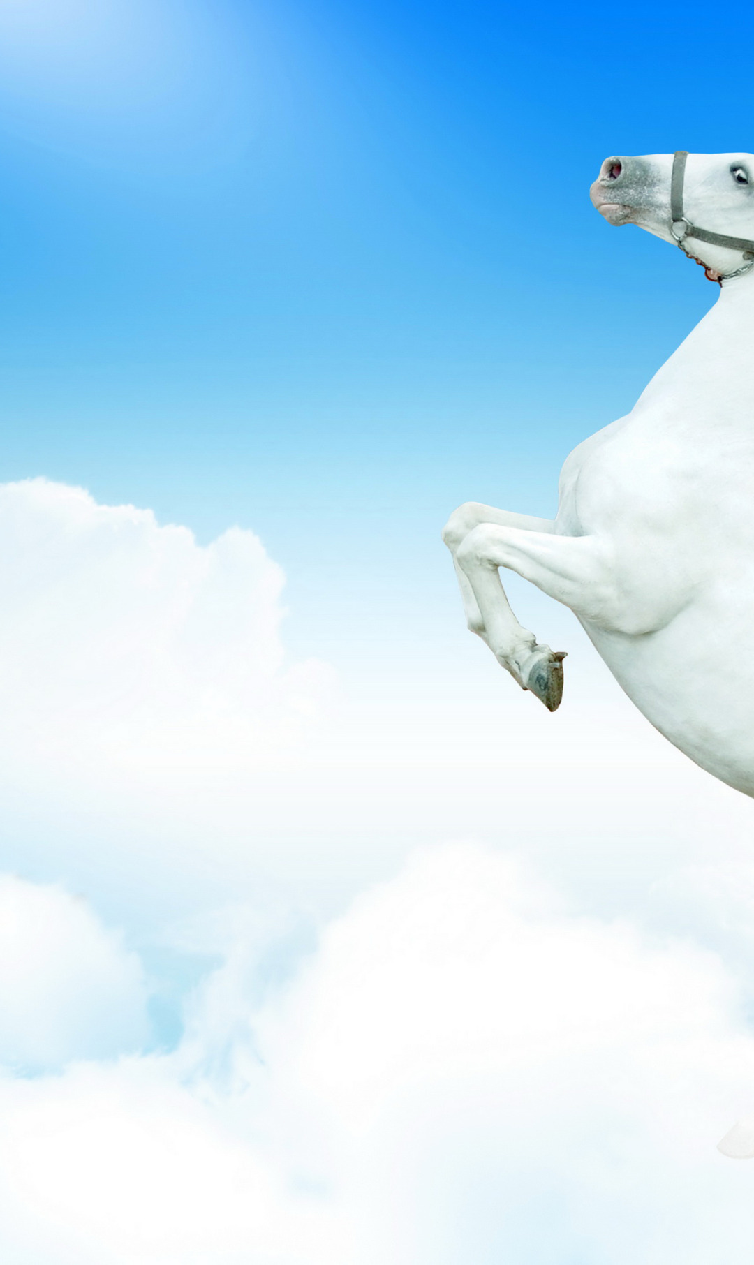 Телефон хорс. Белый конь. Облачный конь. Лошадь в облаках. Лошадь в прыжке.