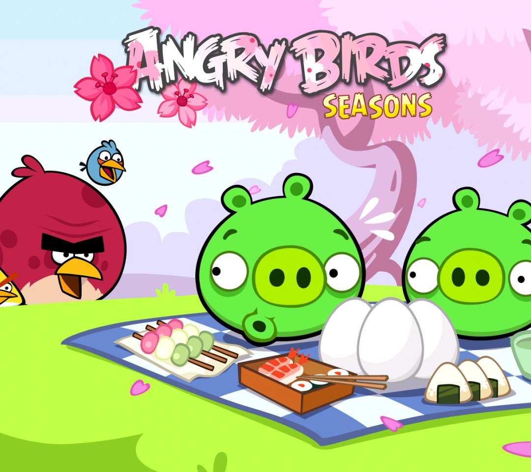 Скачать обои птицы, яйца, Игра, пикник, свиньи, злые птицы, angry birds  seasons, раздел игры в разрешении 1080x960