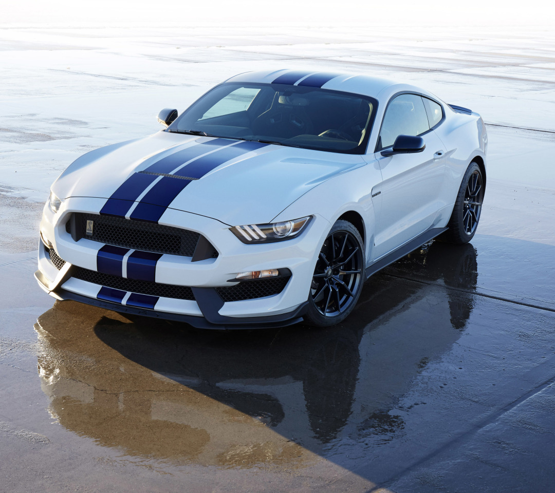 Ford Mustang Shelby gt350 2015