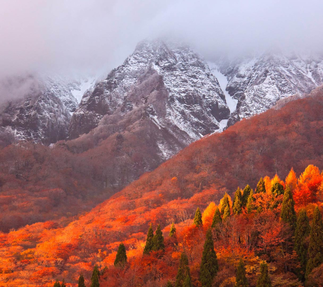 Осень в горах Чечни