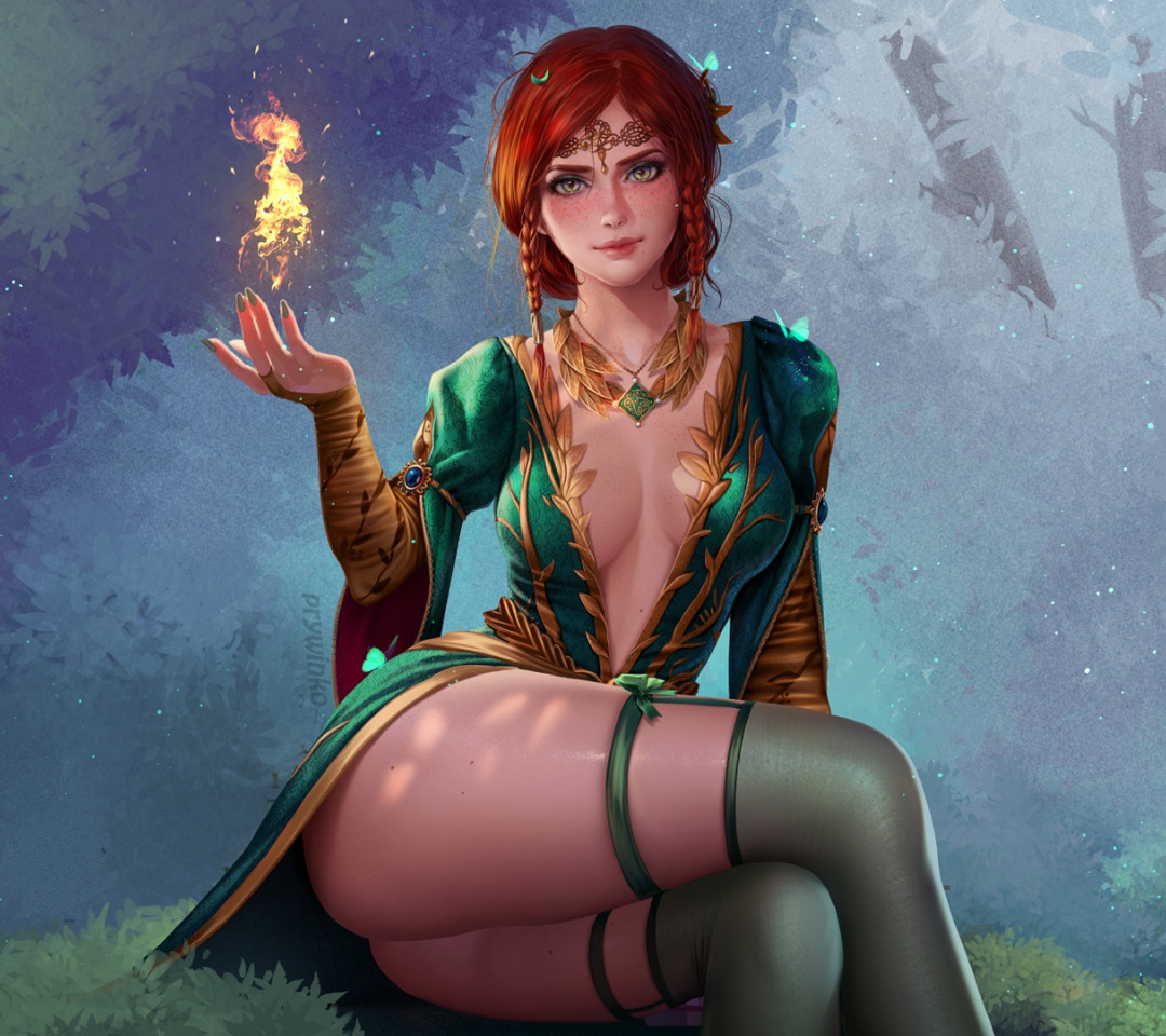 The witcher 3 art 18 фото 4