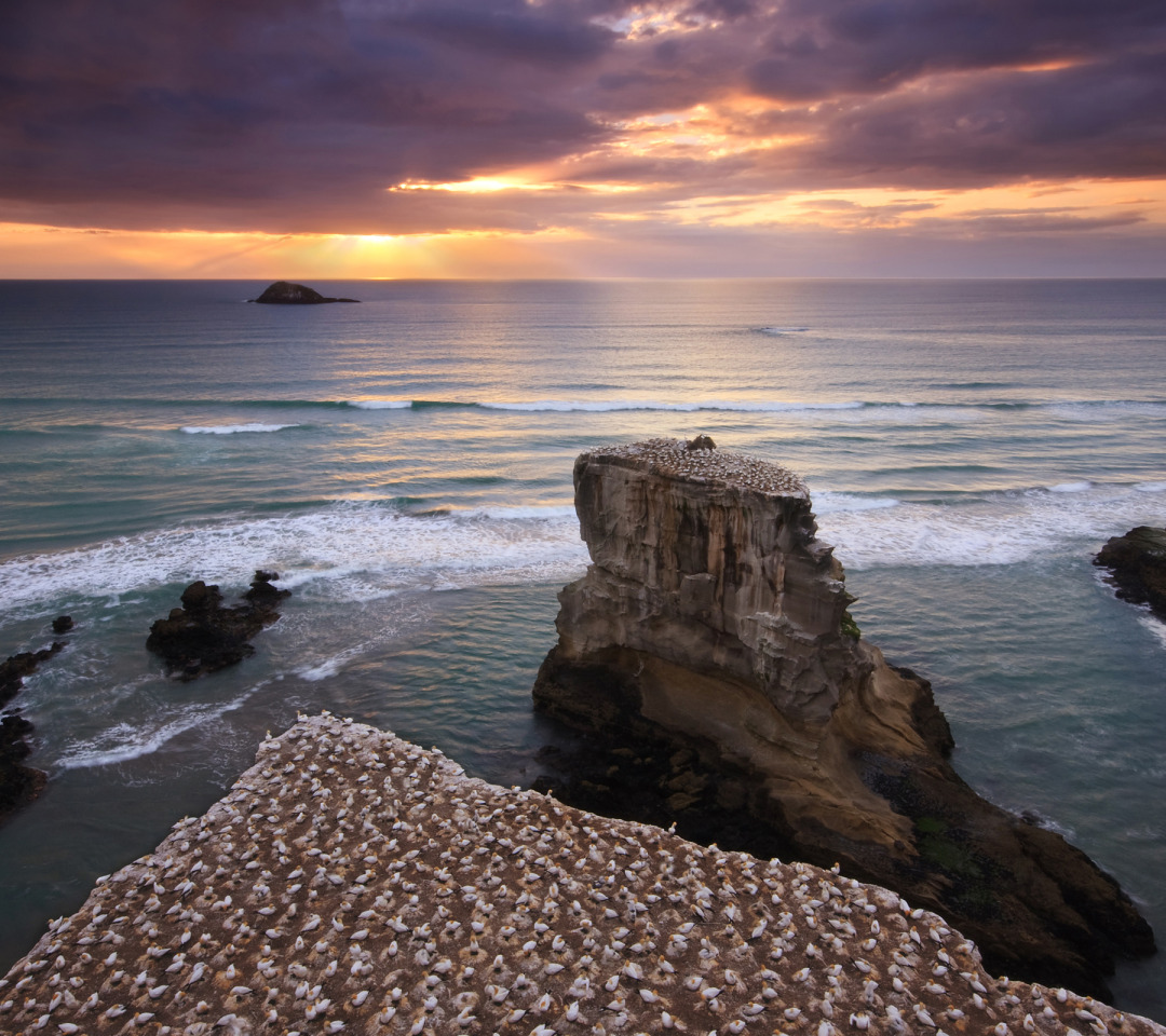 скалы на берегу моря