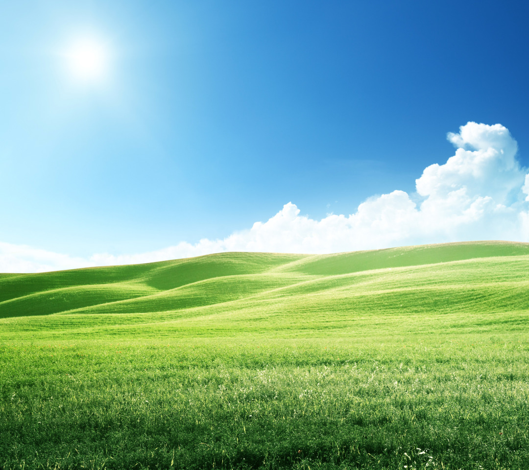 Луг холм. Фон луг. Природа небо зелень. Сине зеленое поле. Холм фон для фотошопа.