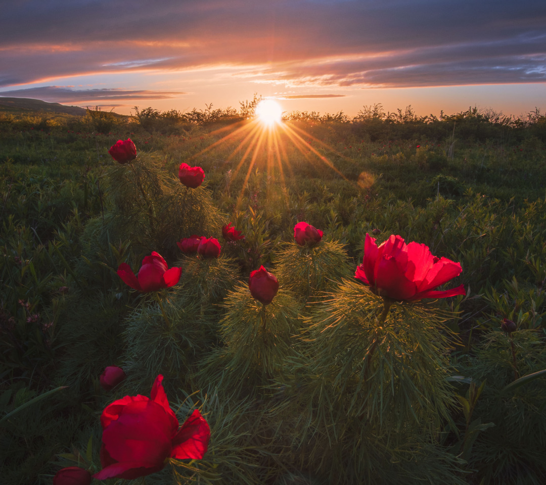 Фотограф на закате