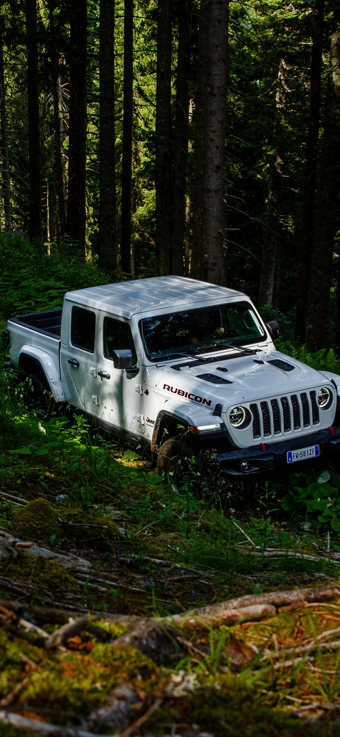 Скачать обои лес, белый, деревья, внедорожник, пикап, Gladiator, 4x4, Jeep,  раздел jeep в разрешении 1125x2436