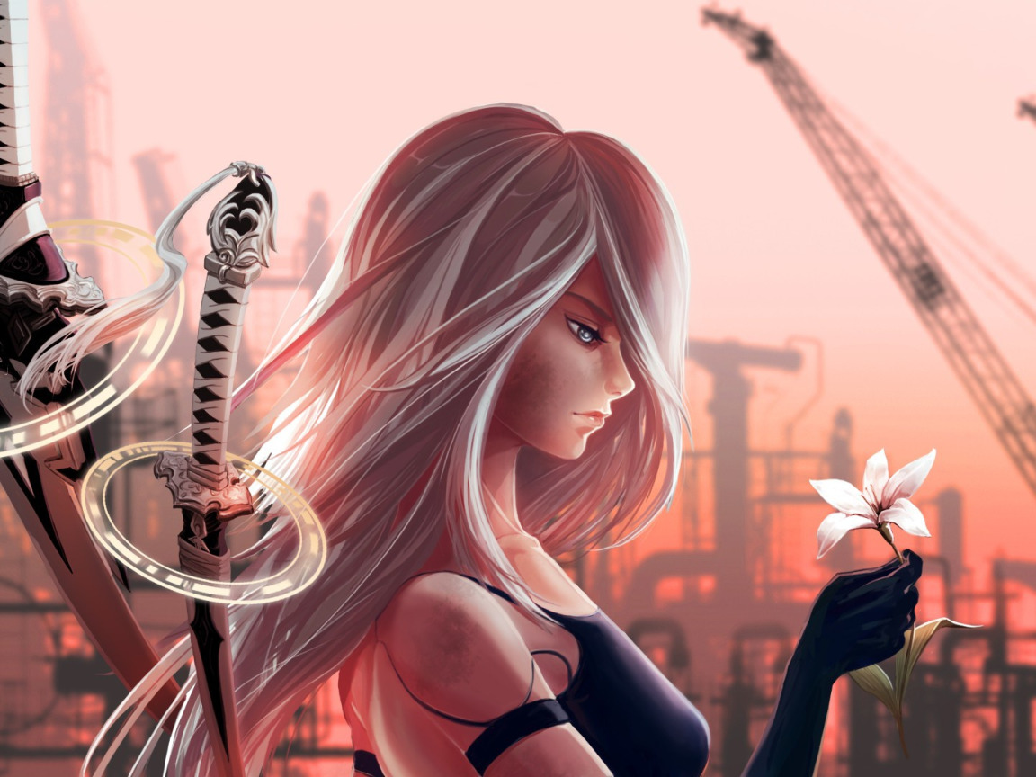 Скачать обои girl, sword, game, robot, flower, mecha, ken, Nier, раздел игры  в разрешении 1152x864