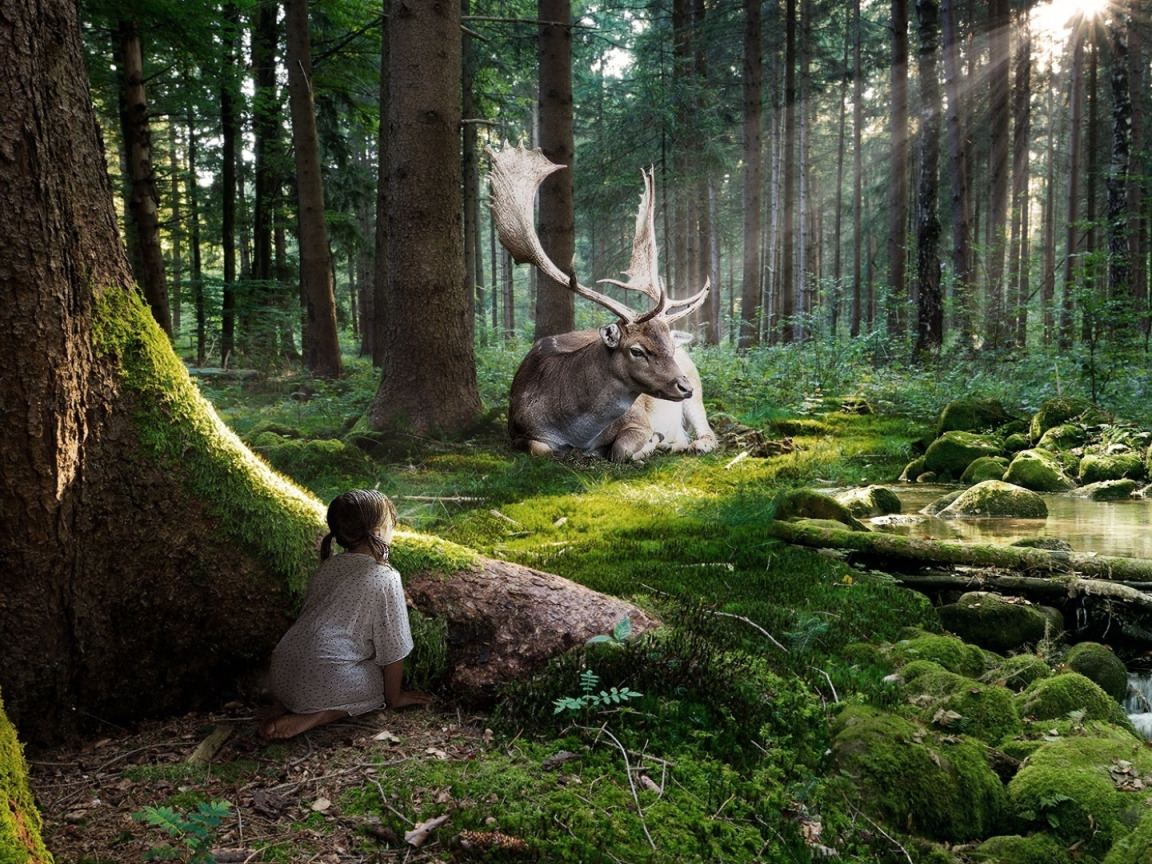 «Зачарованный лес» («Enchanted Forest»). Сказочный лес. Волшебный лес. Сказочные жители леса.