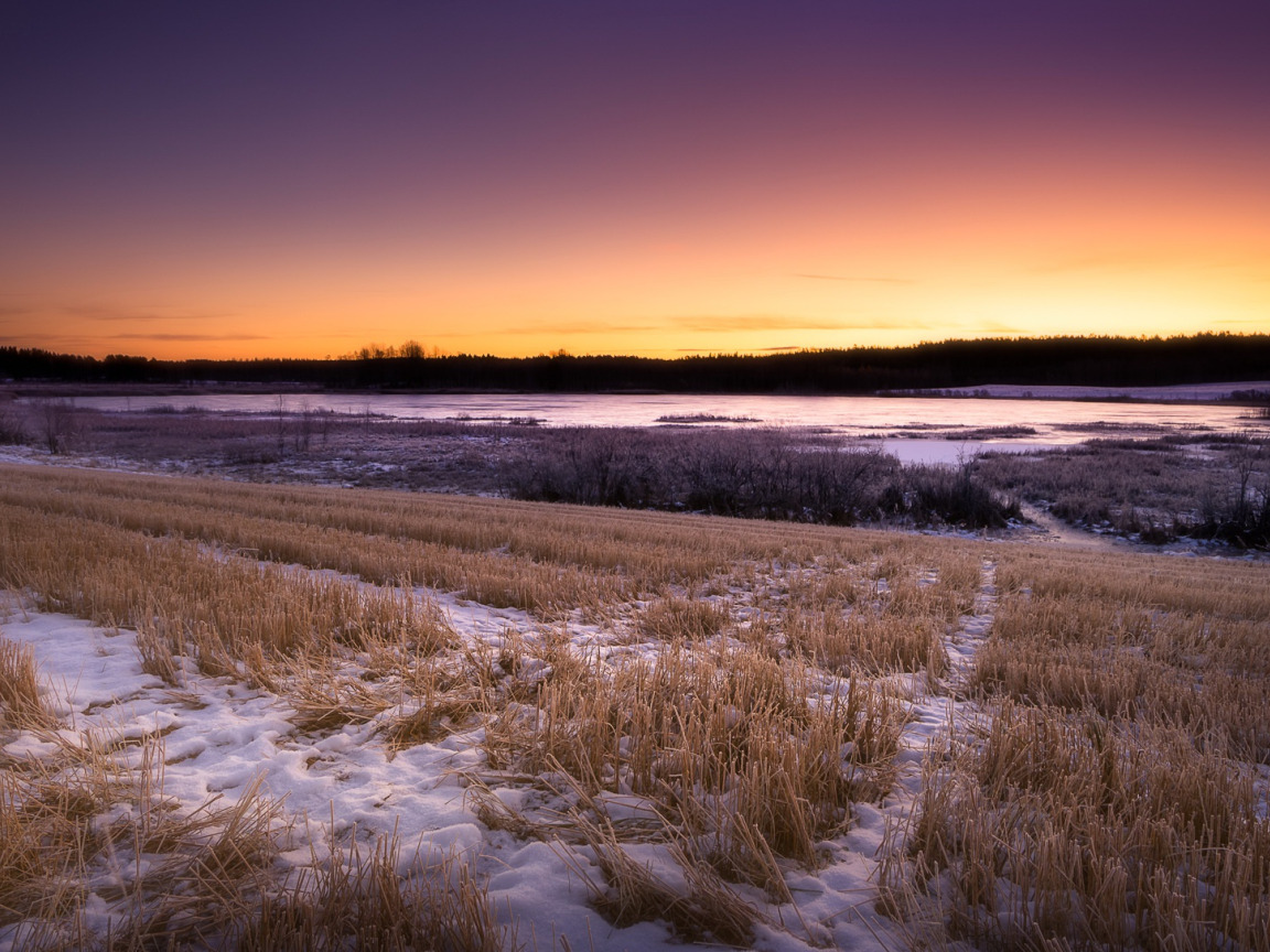 Before the winter. Поле зимой. Русское поле зимой. Снежное поле. Весна вечер.