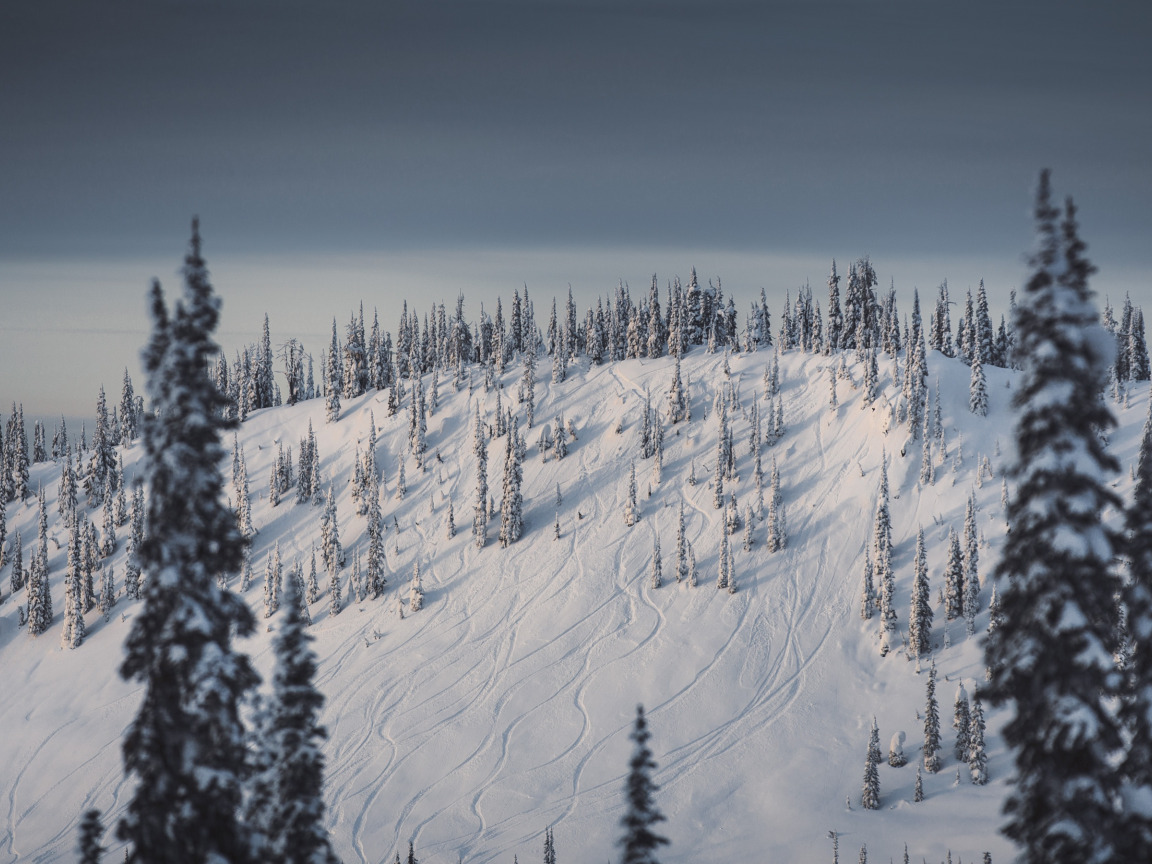 Следы горы небосвода вува. Wallpaper Winter slope.