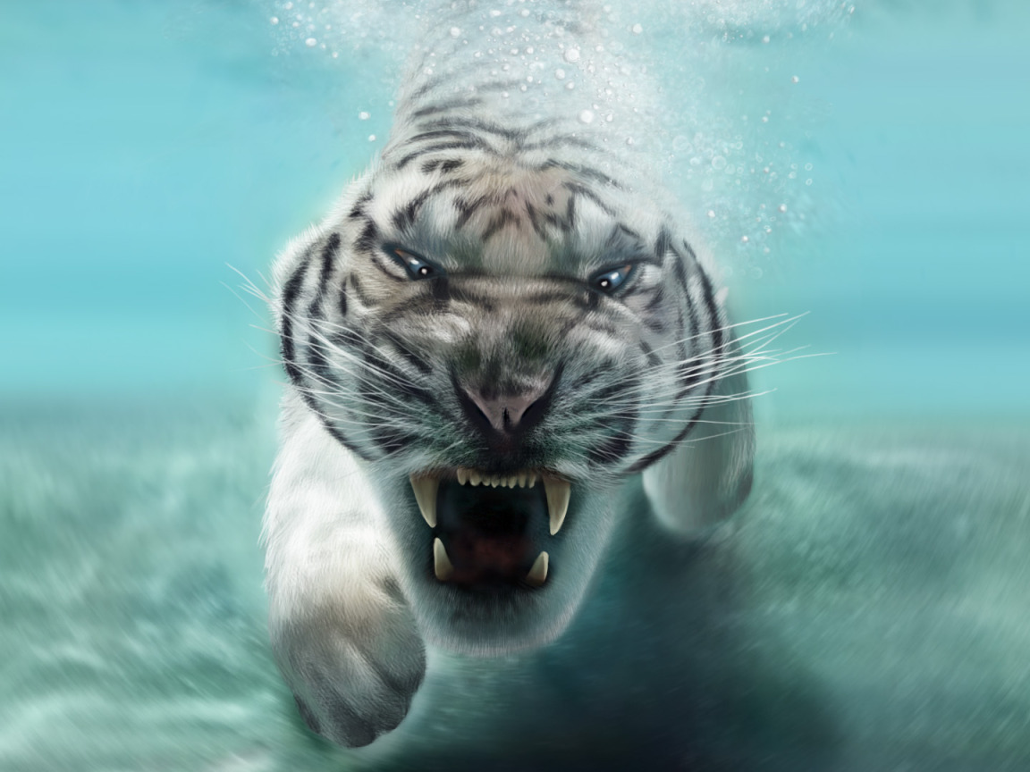 Включи живые животные. Тигр в воде фото. Тигр плавает рисунок. Тигр плывет с попугаем на голове.