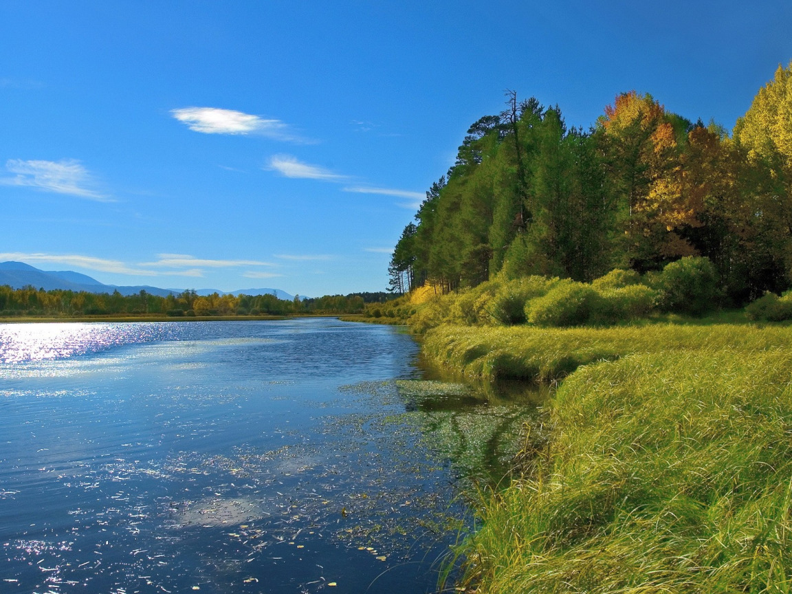 Lake day. Природа река. Берег реки. Красивая река. Летом у реки.