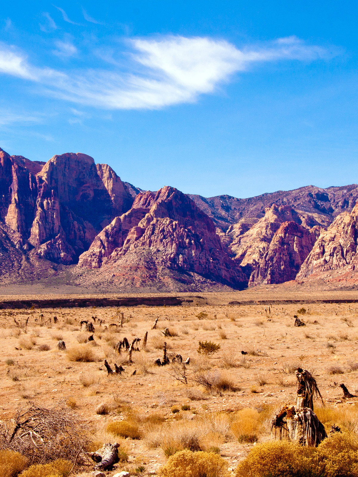 горы, скалы, пустыня, Невада, Nevada, Red Rock Canyon