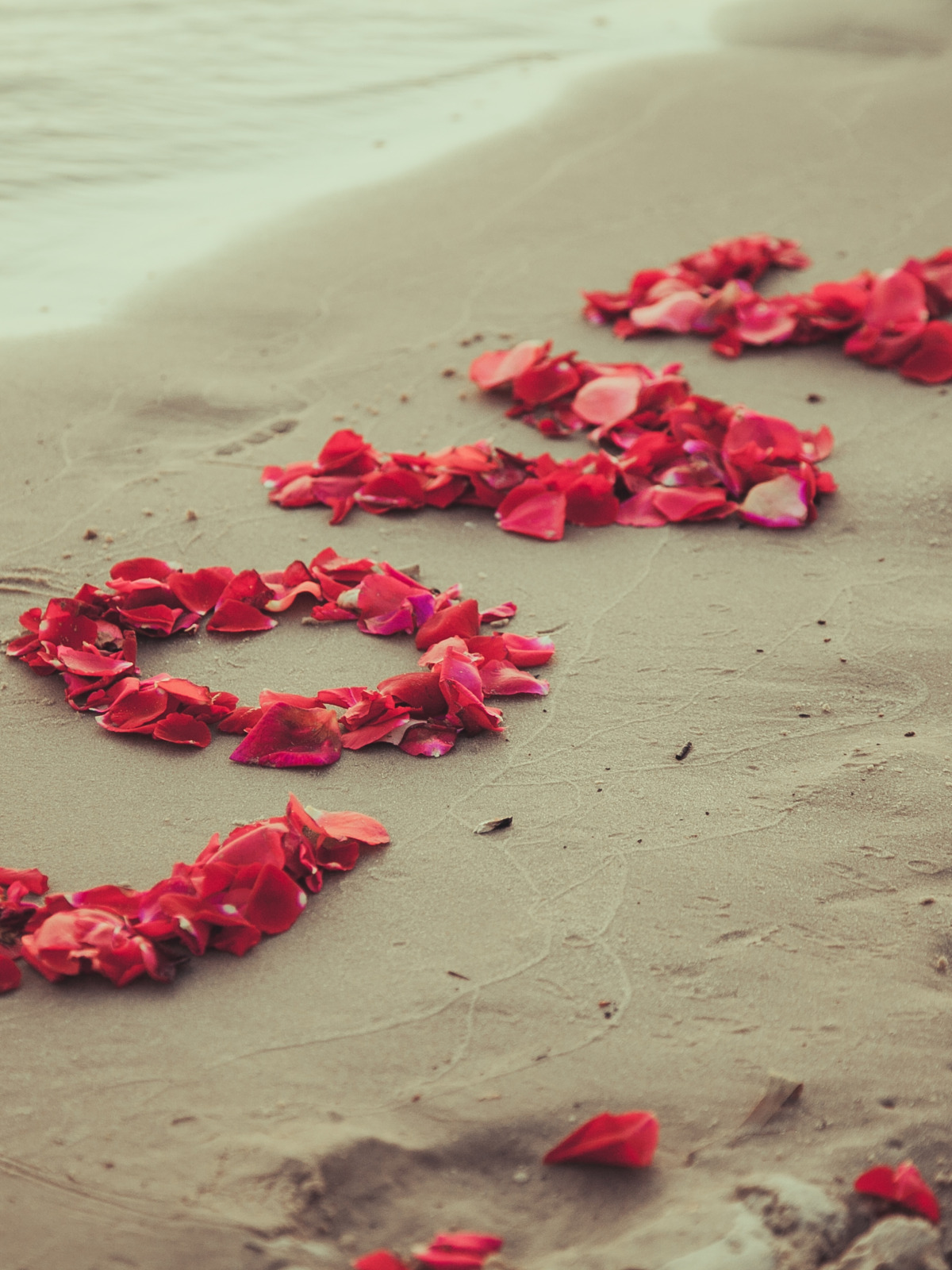 Море цветов и любви. Сердце романтика. Романтичные сердечки. Море цветов для любимой.