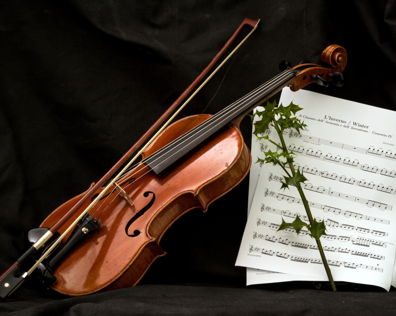 Изображение скрипки. Скрипка. Классические музыкальные инструменты. Скрипка фото. Скрипка фон.