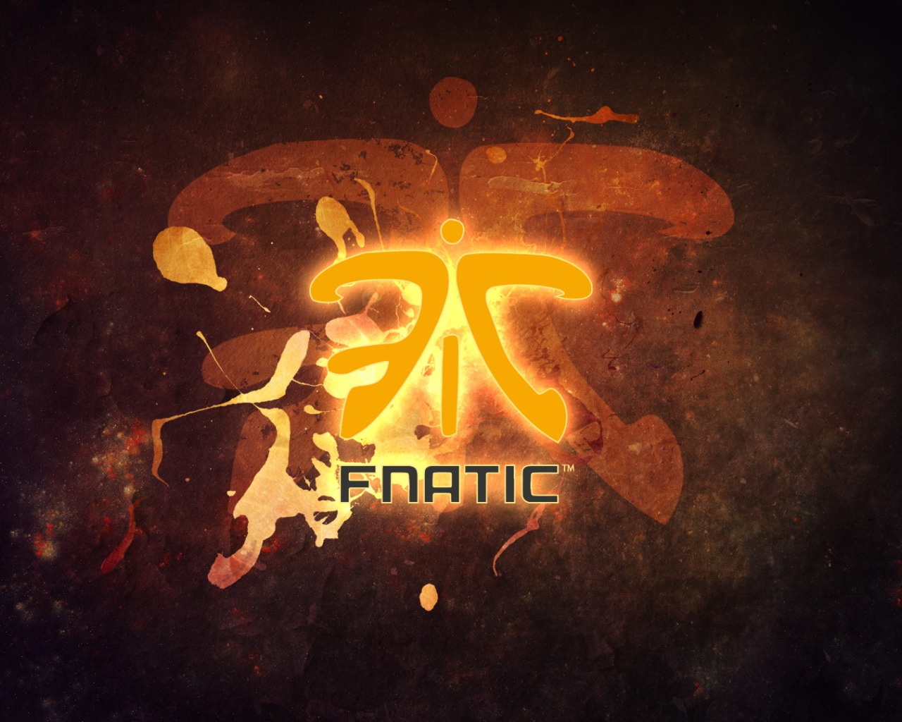 группа стим fnatic фото 103