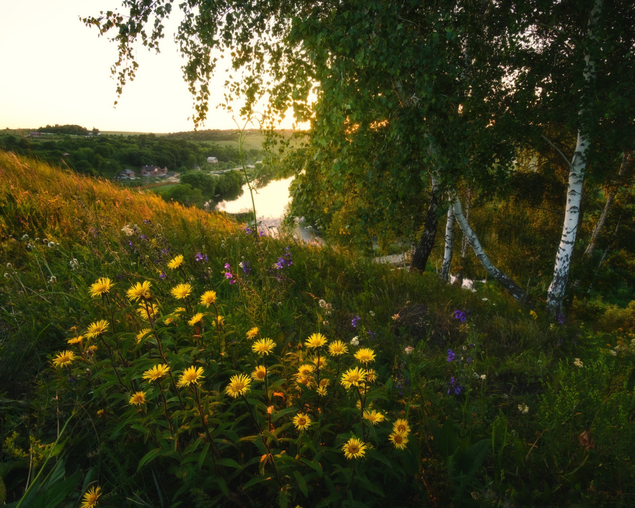 Здесь были луга усыпанные цветами. Летняя природа. Русская природа. Природа Луга. Пейзажи природы.