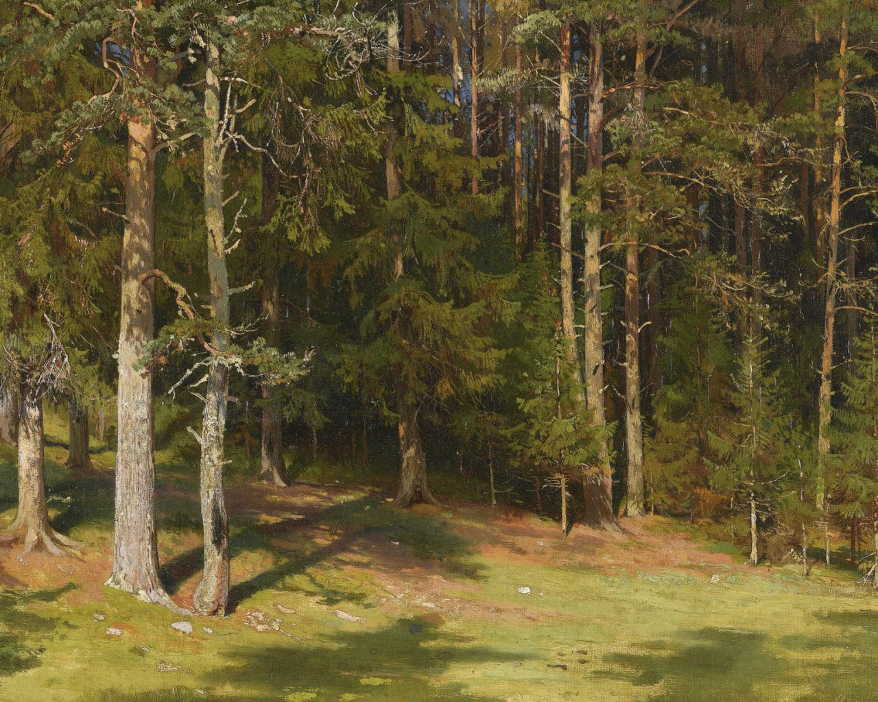 Forest clearing. Картина Шишкина опушка леса 1890 год. Три сосны картина Шишкина.