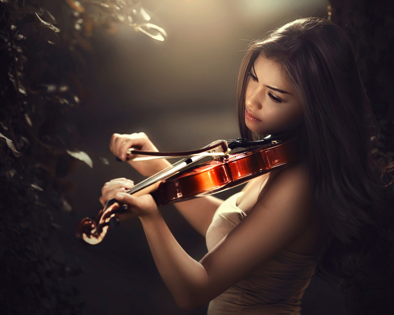 Женщина со скрипкой. Красивая девушка со скрипкой. Красивая скрипачка. Красивые девушки скрипачки. Девушка на скрипке